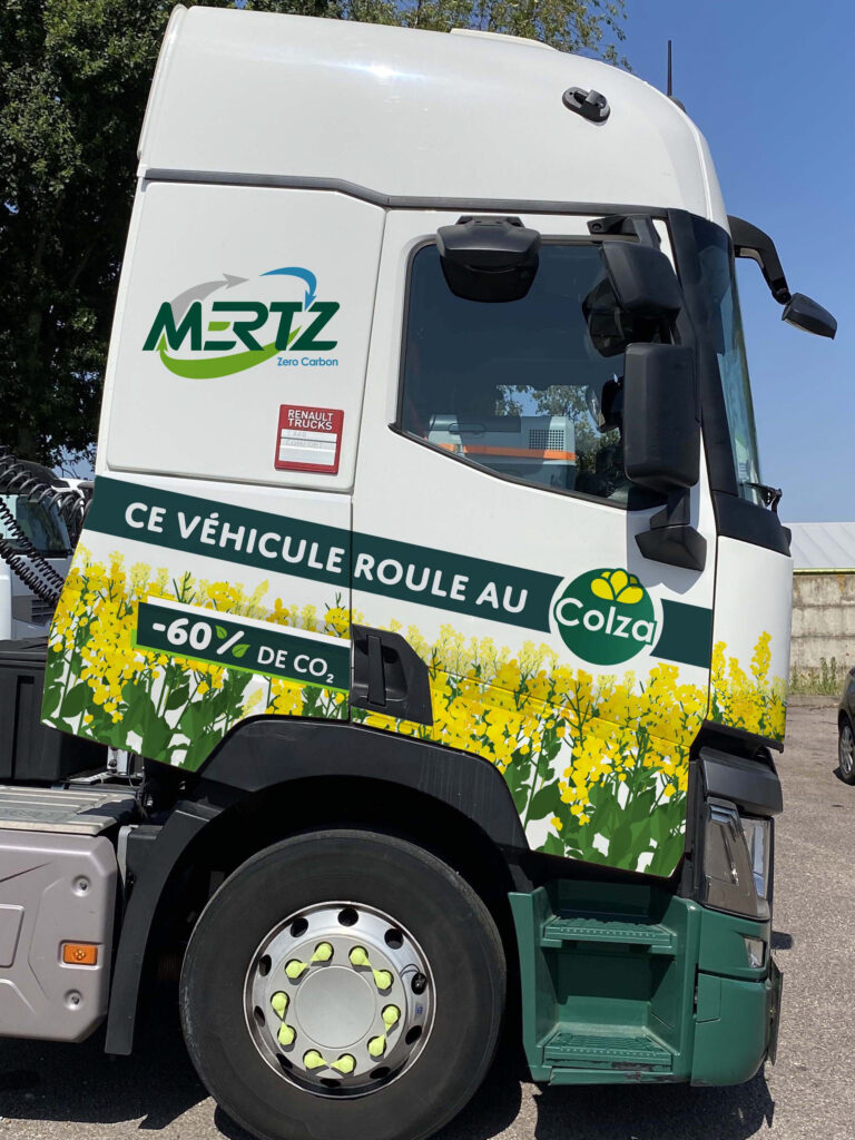 colza droite v3